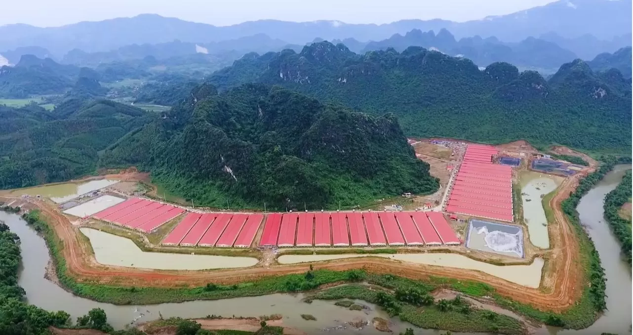 TRANG TRẠI CHĂN NUÔI DABACO TUYÊN QUANG